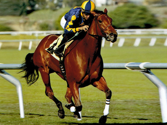 Kindle winning the Cool Air Stakes at Hollywood Park